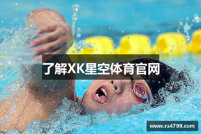 了解XK星空体育官网
